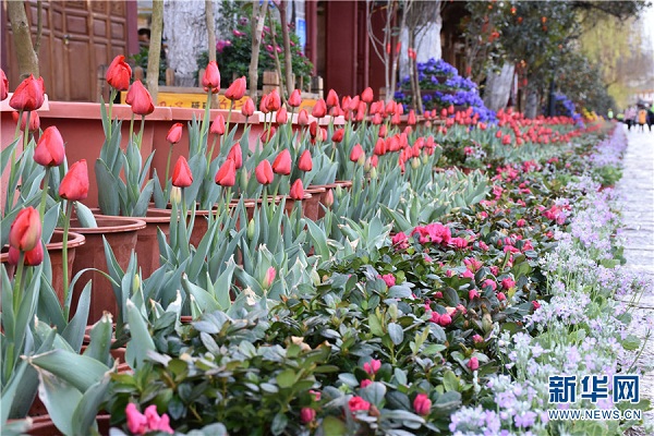 Lijiang prepared for upcoming Spring Festival