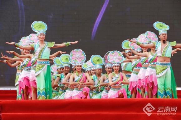 Lijiang Yongsheng Lotus Flowers Festival kicks off