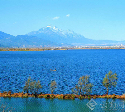 Asian openbill first spotted on Lake Lashi in Lijiang