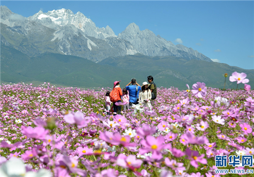 Lijiang to be on screen at Venice film festival