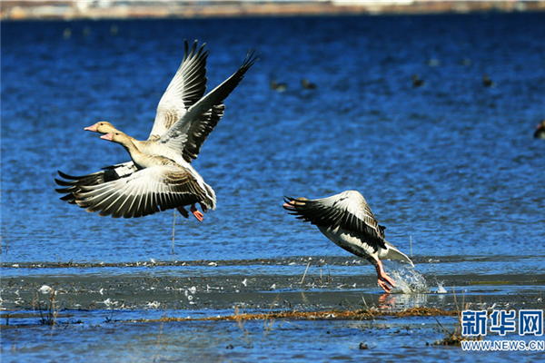 Lijiang tightens ecological protection