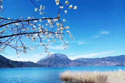 Enjoy an idyllic spring at Lugu Lake