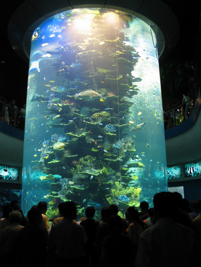 Qingdao Aquarium celebrates 80th anniversary