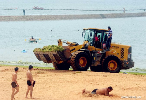 Green algae clears up in Qingdao