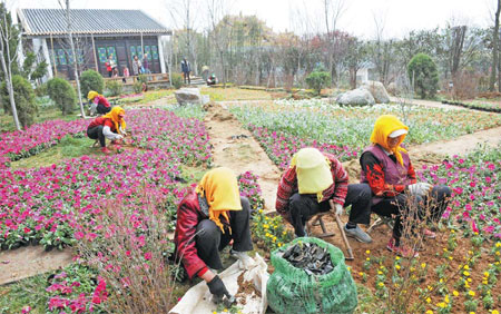 Phone app to guide visitors at horticulture expo