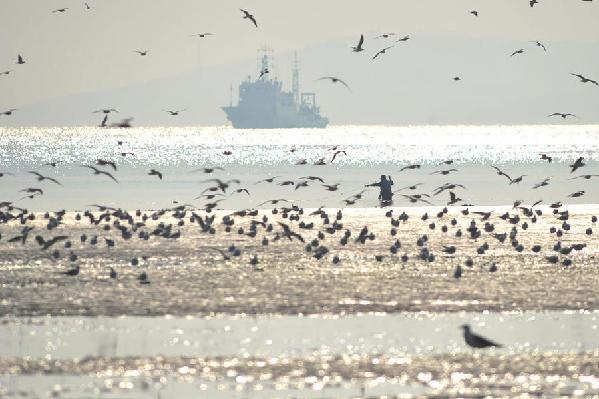 Astronomical tide brings spectacular view to Qingdao