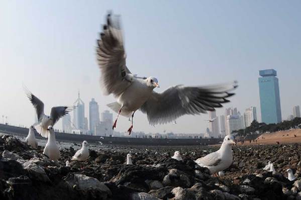 Astronomical tide brings spectacular view to Qingdao