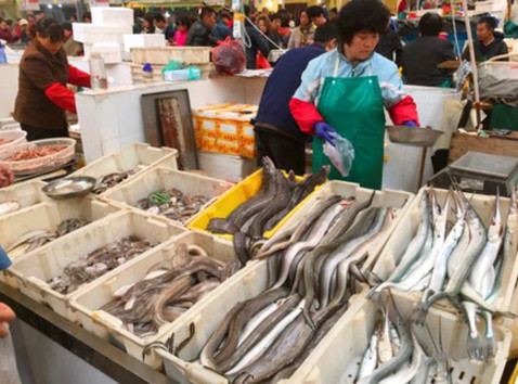 Fresh seafood hits Qingdao market as summer fishing ban ends