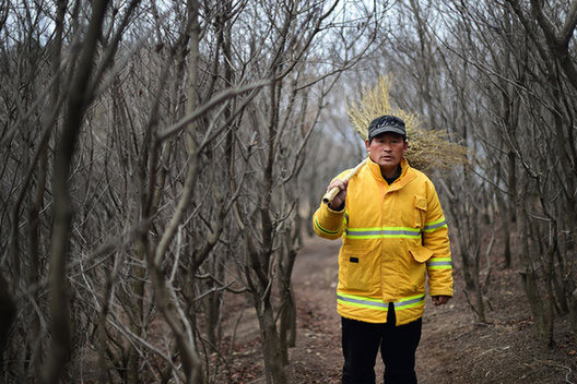 Man spends Spring Festival guarding mountain alone