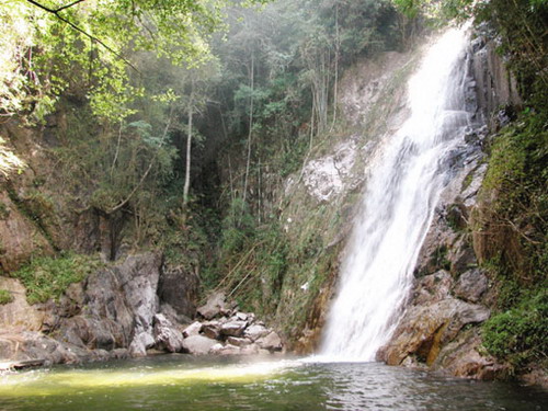 Guangdong First Peak Virgin Forest scenic spot