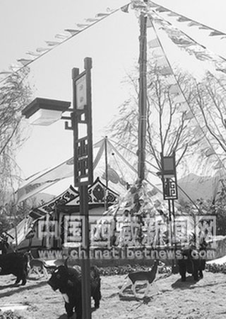 Lhasa Park eye-catching at 7th Garden, Flower Exhibition