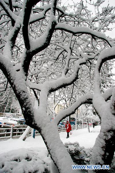 Heavy snow hits E China's Shandong, traffic hampered