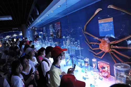 Sea-themed tourism attracts visitors in Qingdao