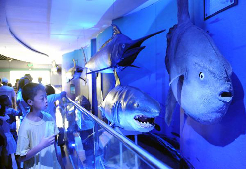 Sea-themed tourism attracts visitors in Qingdao