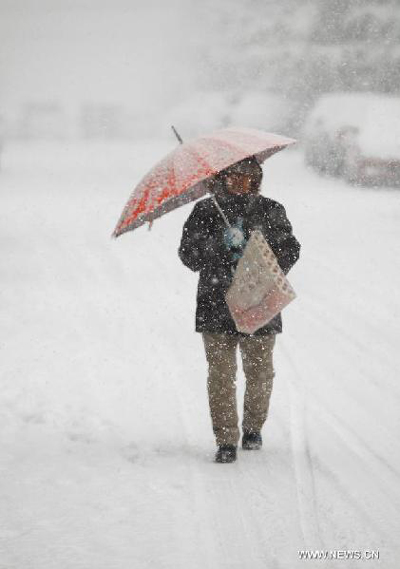 Snowfall sweeps Shandong Province