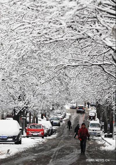 Snowfall sweeps Shandong Province