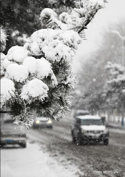 Snowfall sweeps Shandong Province