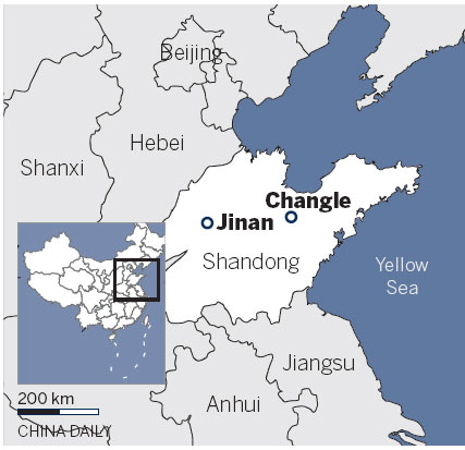 Shandong's precious stones soar in value