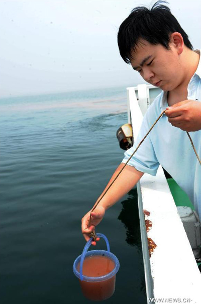 Five blocks of red tide detected in waters near Rizhao
