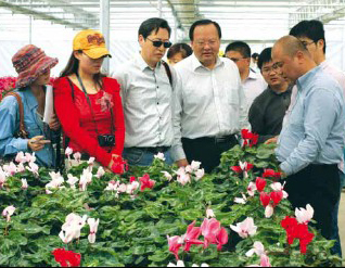 Shandong's multibillion yuan outreach to Kashgar