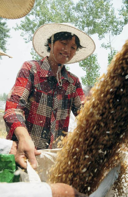 Farmers become busier as planting and harvest seasons come