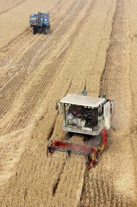 Farmers become busier as planting and harvest seasons come