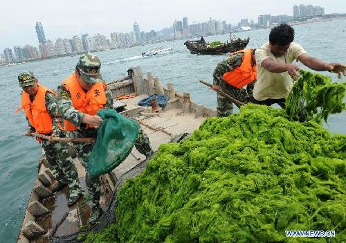 Green algae cleared up in China's Qingdao