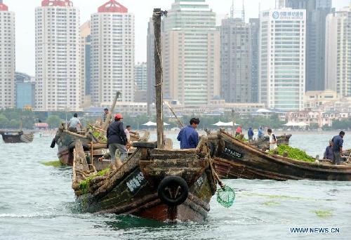 Green algae cleared up in China's Qingdao