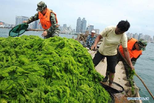 Green algae cleared up in China's Qingdao