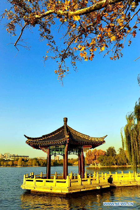 Beautiful scenery of Daming Lake