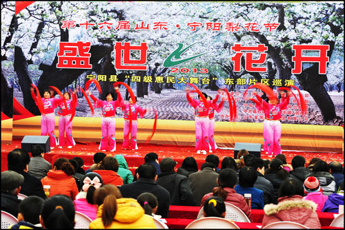 Pear Blossom Festival opens in Ningyang