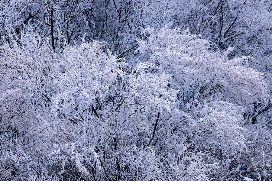 Rime scenery at Lingzhu Mountain in Qingdao