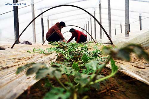 'Chunfen', or Spring Equinox, marked in Shandong