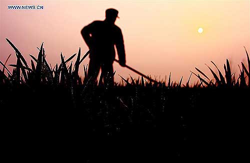 'Chunfen', or Spring Equinox, marked in Shandong