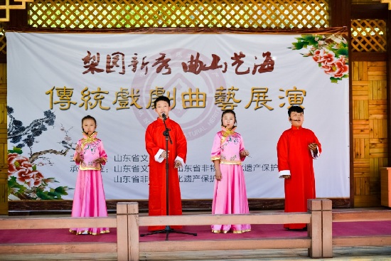 Cultural Heritage Day celebrations shine in Shandong