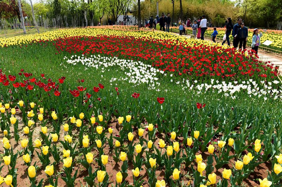 Flowers blossom in Jinan City