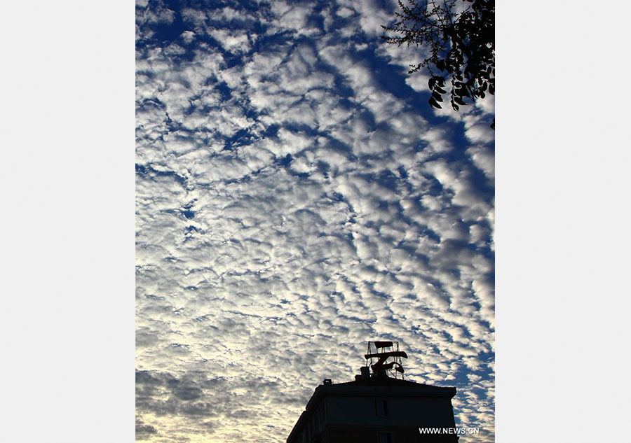 Beautiful clouds seen in Zaozhuang, China's Shandong