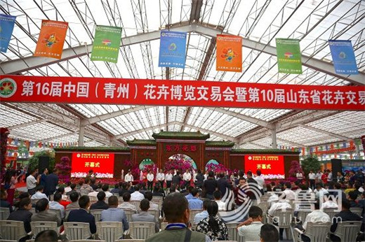 National flora trade fair opens in Qingzhou