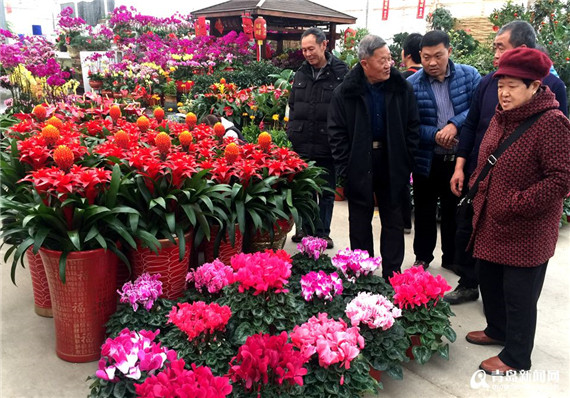 Qingdao welcomes the approaching Chinese New Year