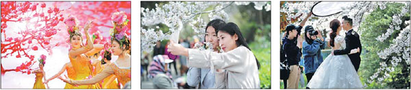 Local culture, flowers, tourism flourish together