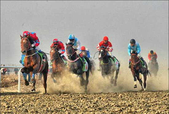 Weifang to host equestrian culture festival