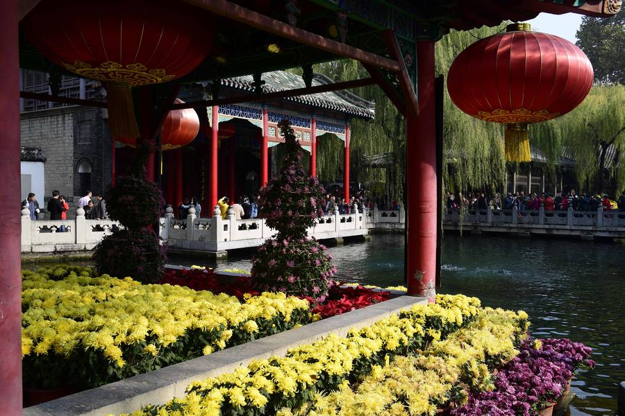 Blooming chrysanthemum displayed in E China's Baotu Spring Park