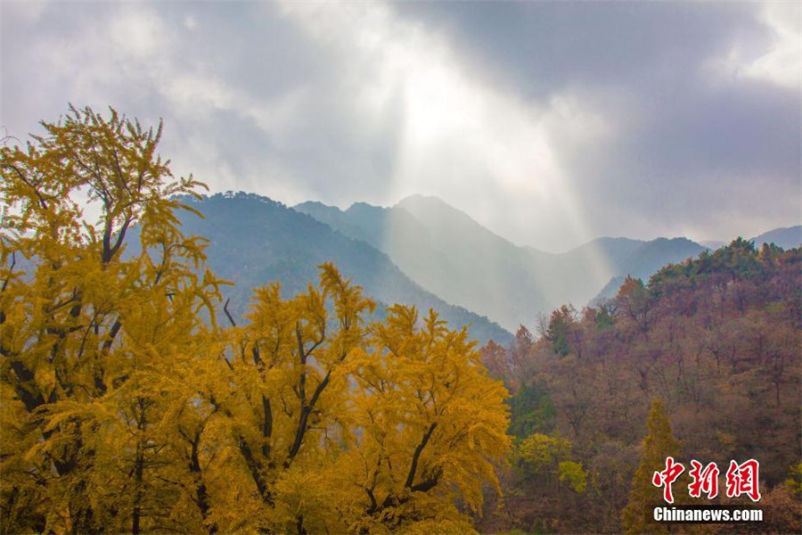 Late autumn scenery of Taishan Mountain in E China