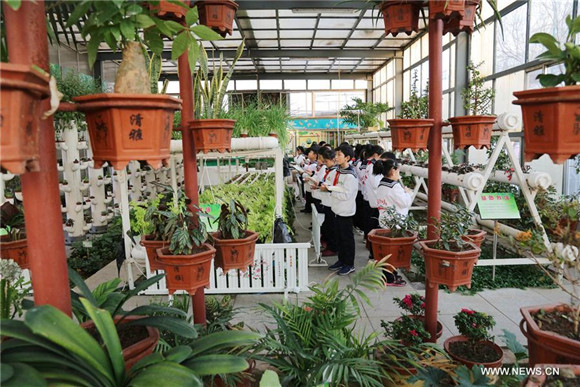 Botanic pavilion built at school in China's Shandong