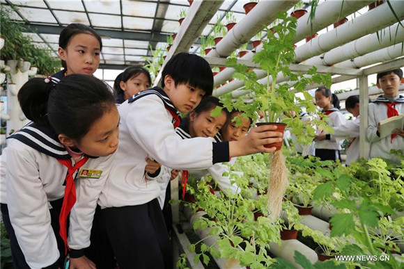 Botanic pavilion built at school in China's Shandong