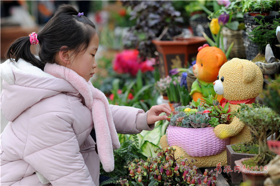 Flowers decorate the New Year