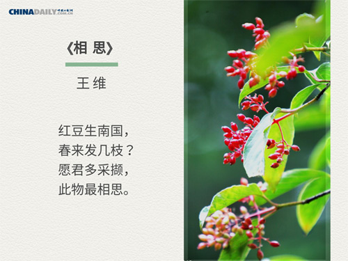 Five ancient Chinese poems about spring
