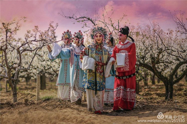 In pics: when Peking Opera meets pear blossoms