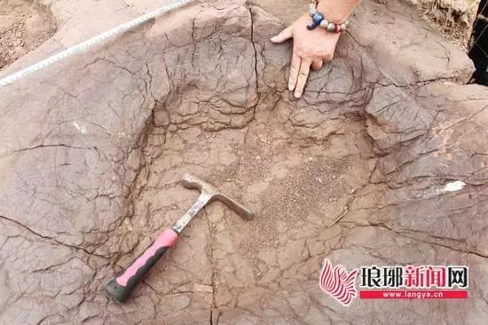Dinosaur footprints found in Shandong