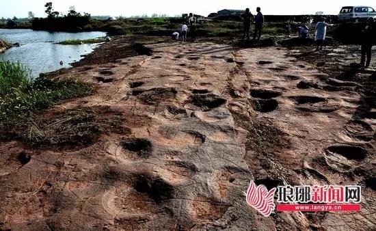 Dinosaur footprints found in Shandong